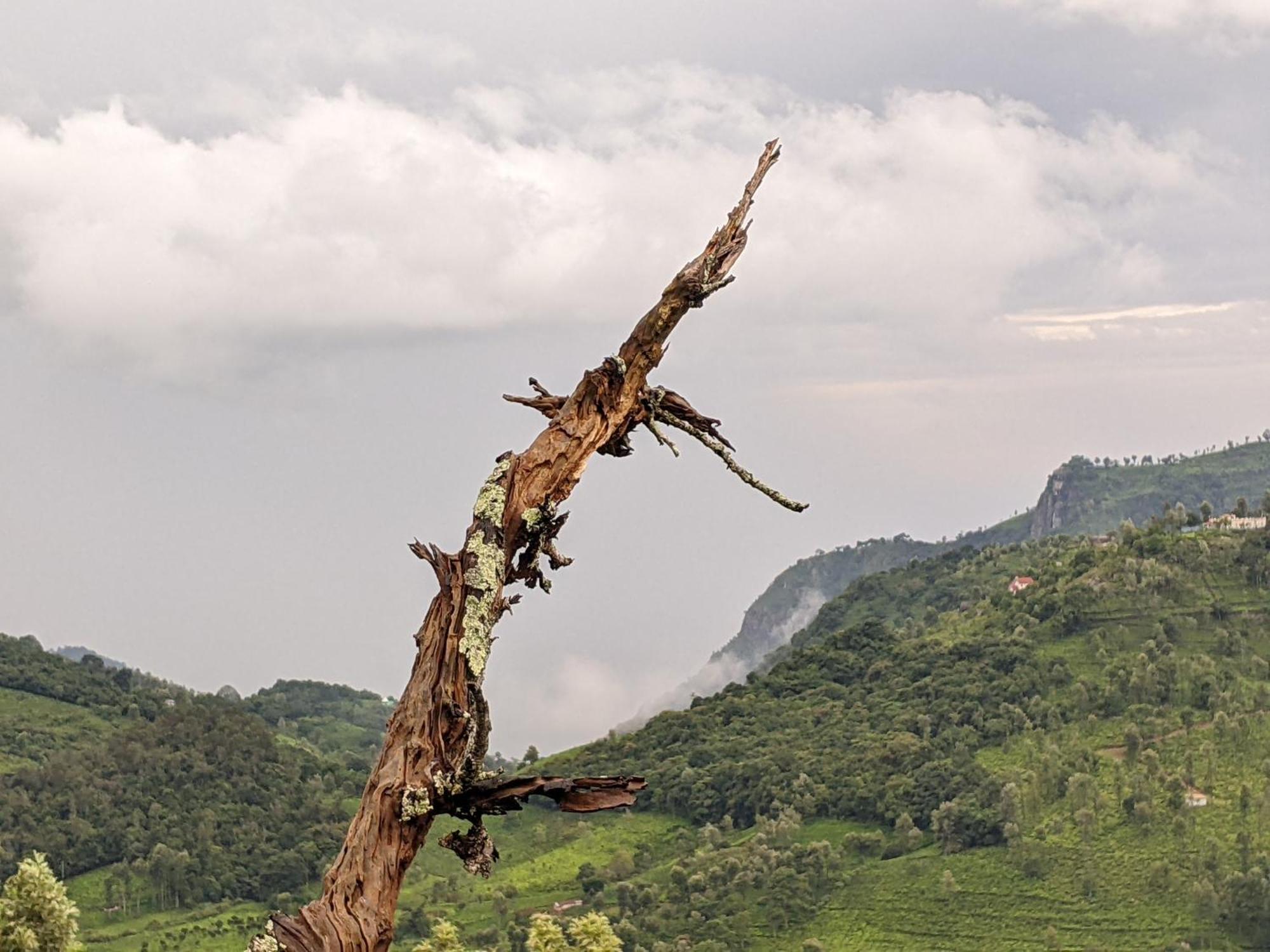 Moksha Infinity Valley Kotagiri Exteriér fotografie