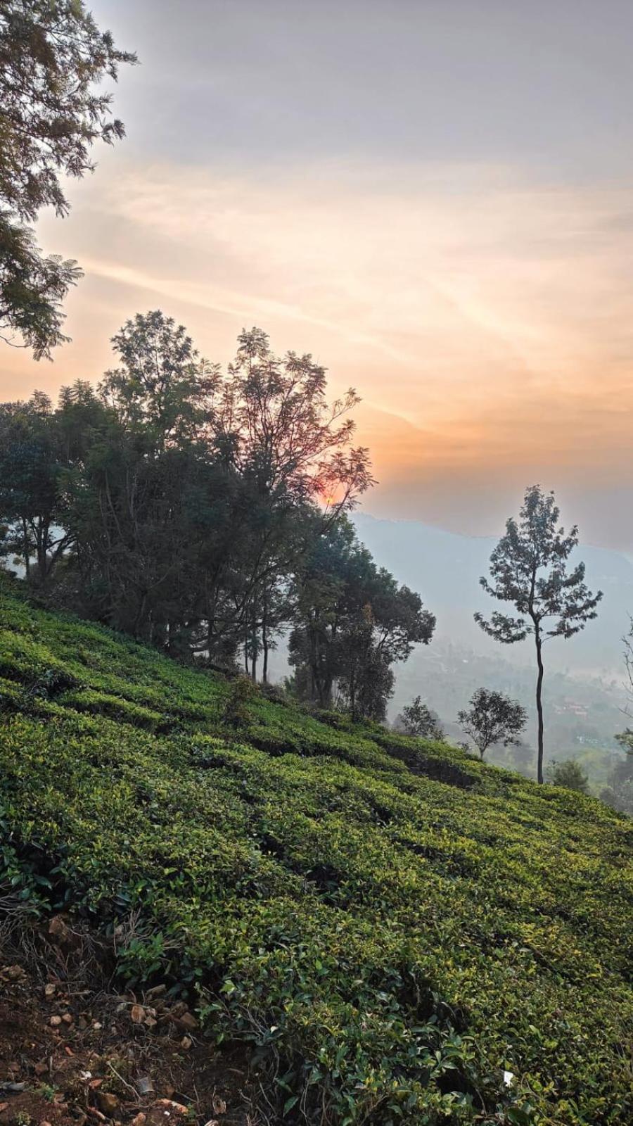 Moksha Infinity Valley Kotagiri Exteriér fotografie
